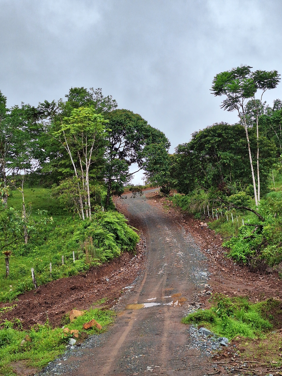 Camino de tierra en la comunidad de Cuteva antes de la mejora.